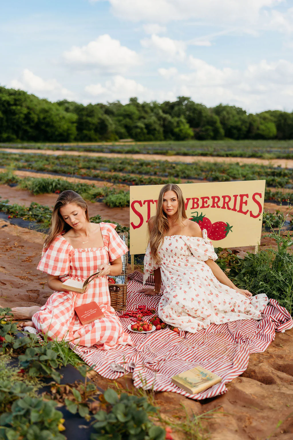 Elena 100% Cotton Gingham Midi Dress in Red - Bump Friendly - Image 3