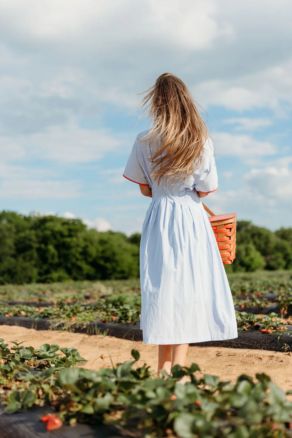 Delphine Midi Dress in Sky/Tomato - Image 11