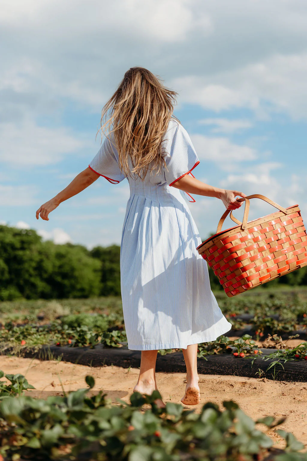 Delphine Midi Dress in Sky/Tomato - Image 6